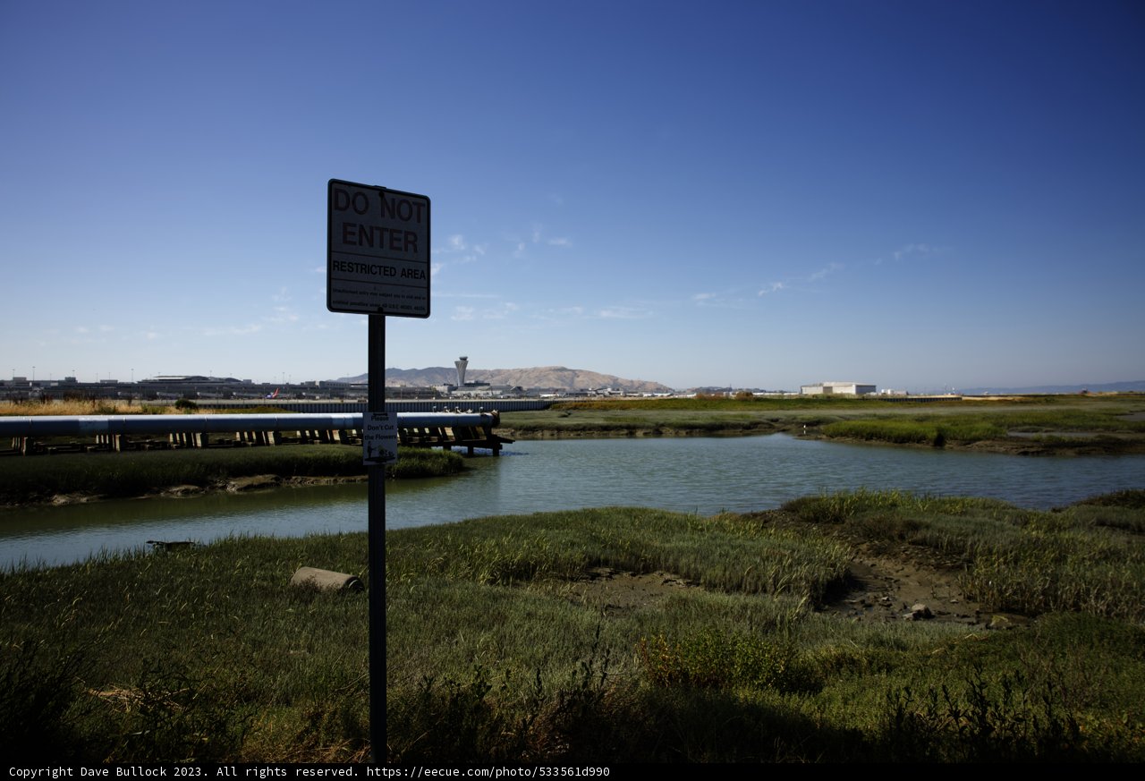 Tranquility Manifested: Bayfront Park, 2023