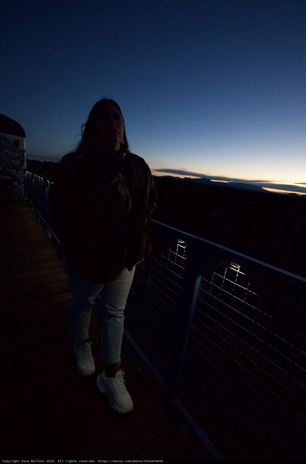 Twilight Portrait at Scenic Mountain Overlook