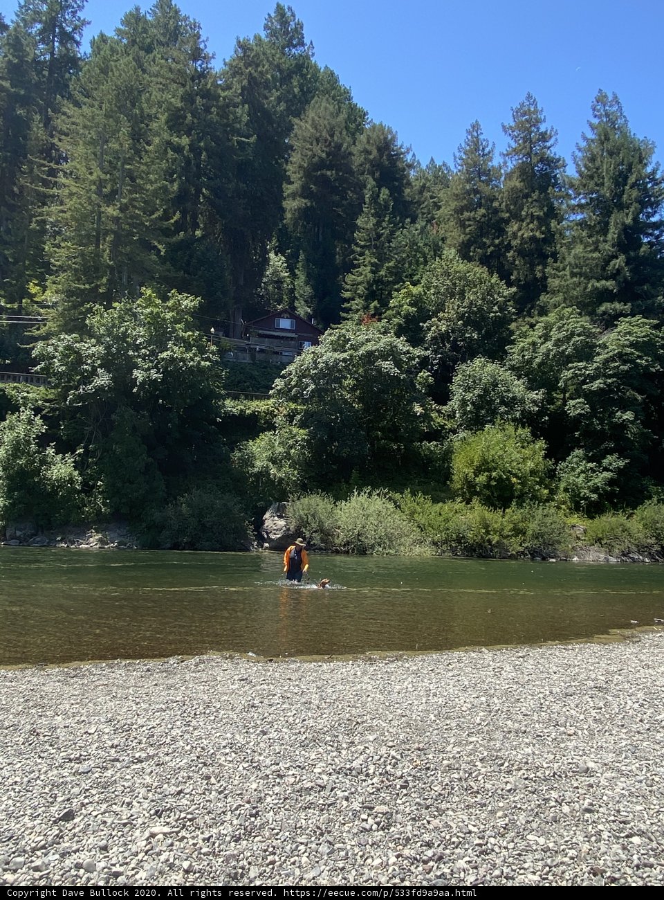 Amidst the Wilderness