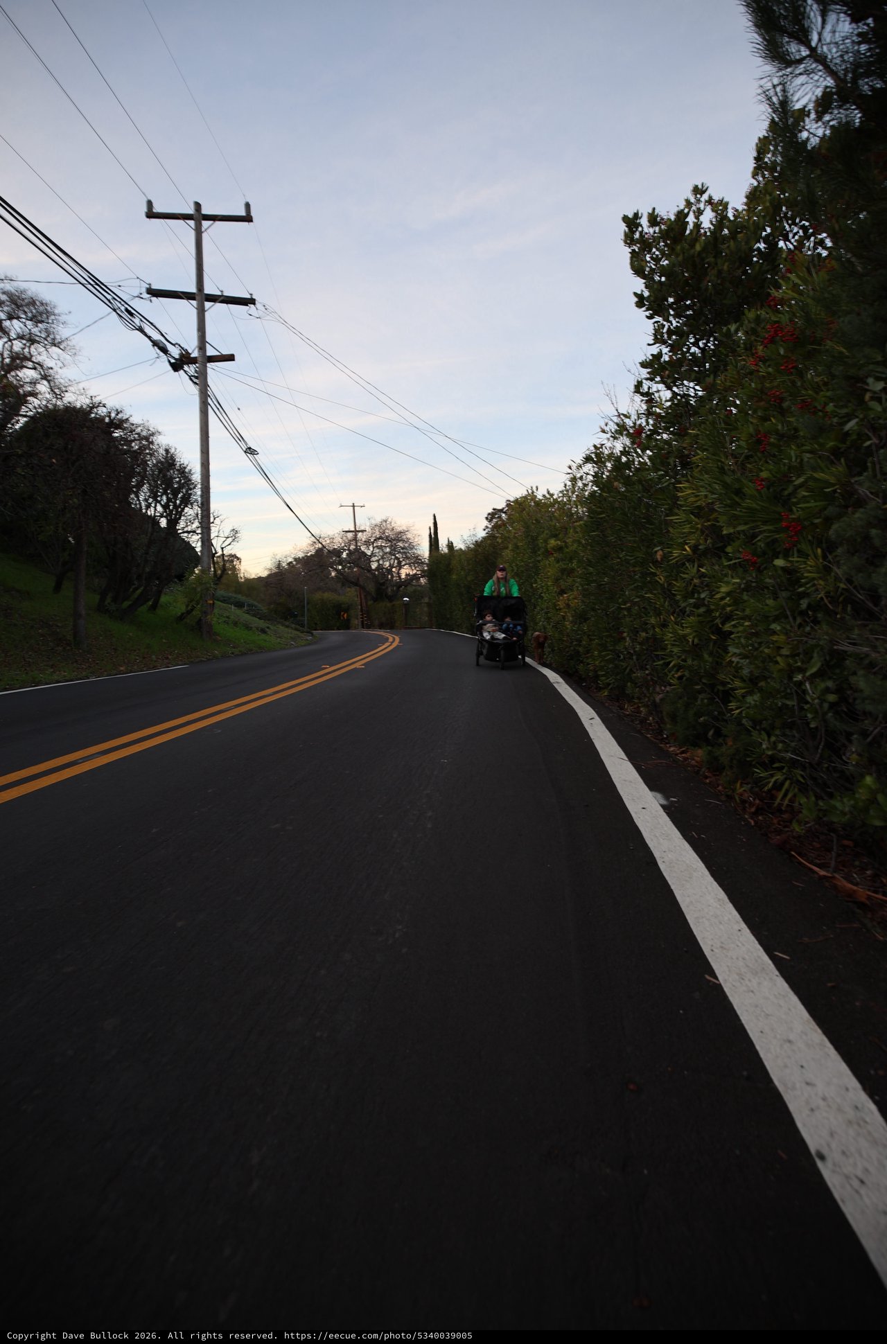 Evening Ride on a Winding Rural Road