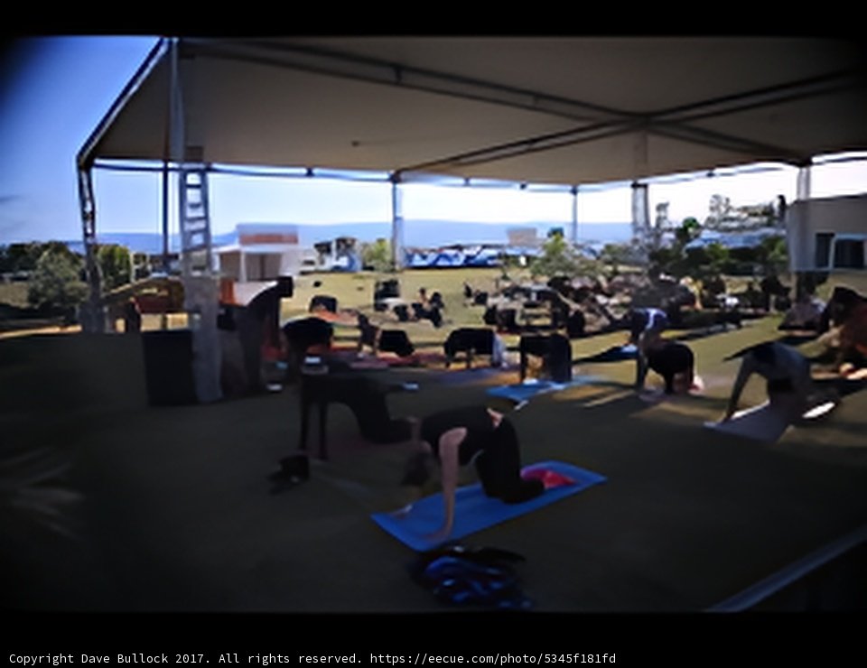 Outdoor Yoga Session at Coachella