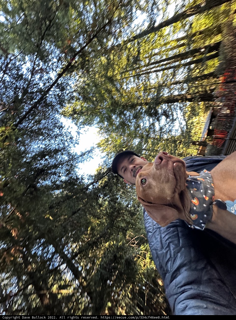 A Man and His Canine Companion in the Wild