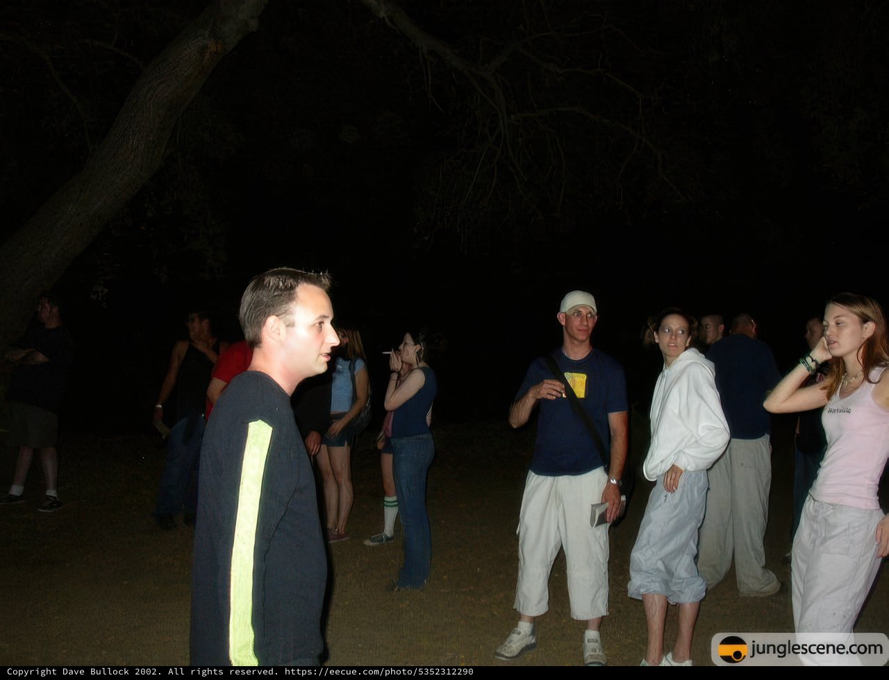 Nighttime Gathering
