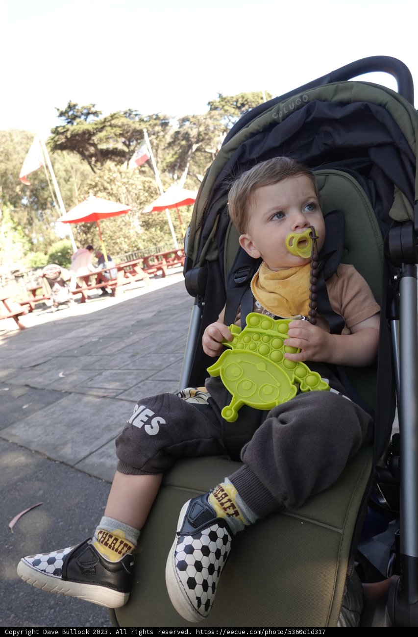 Playful Park Adventure