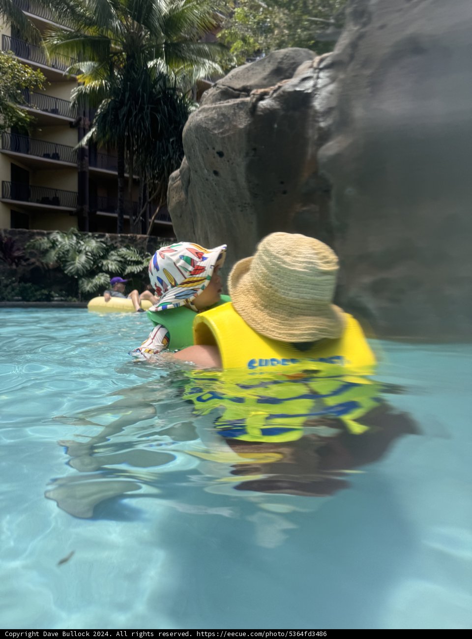 Leisure Under the Hawaiian Sun