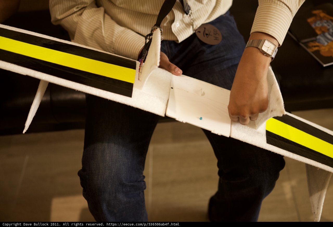 Model Airplane Enthusiast