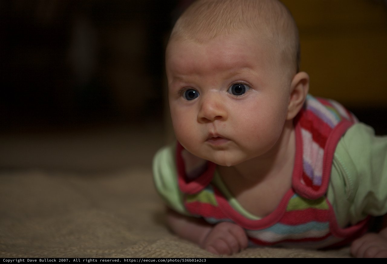 Curious Baby During Tummy Time on Carpet