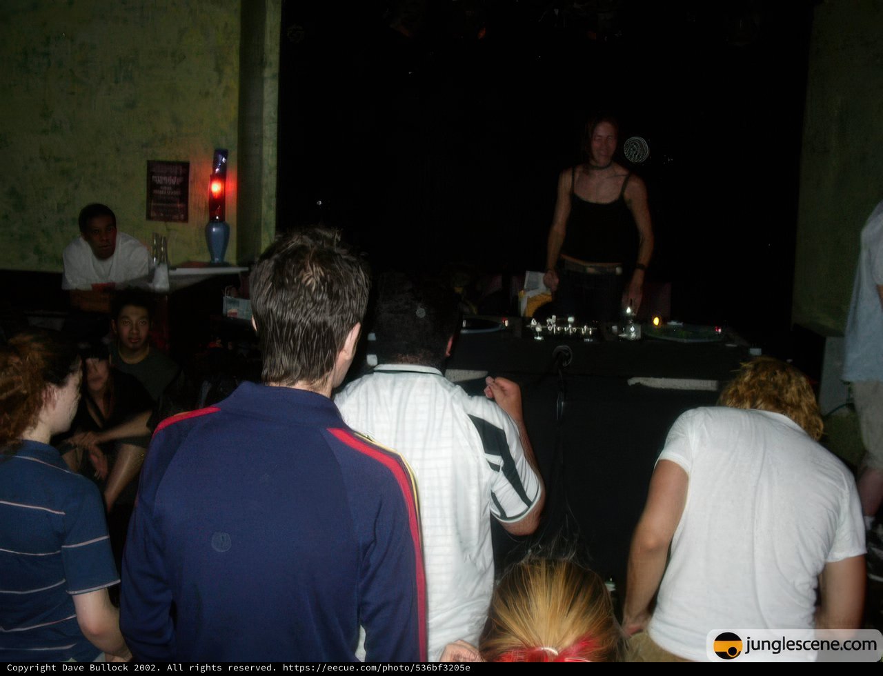 Nightclub Gathering