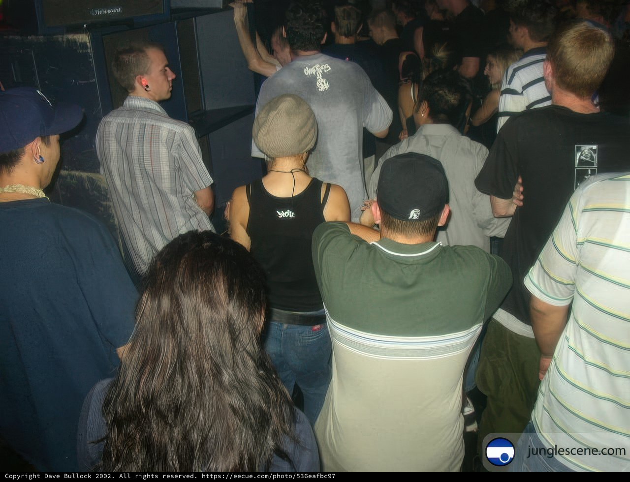 Club Crowd at Night