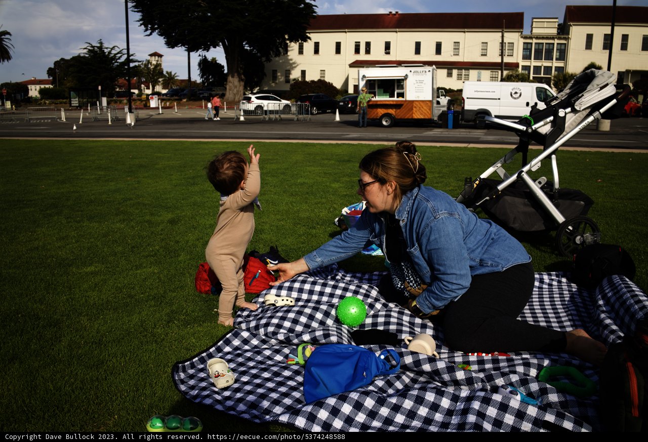 Nature's Living Room: A Summer Moment in Presidio Park