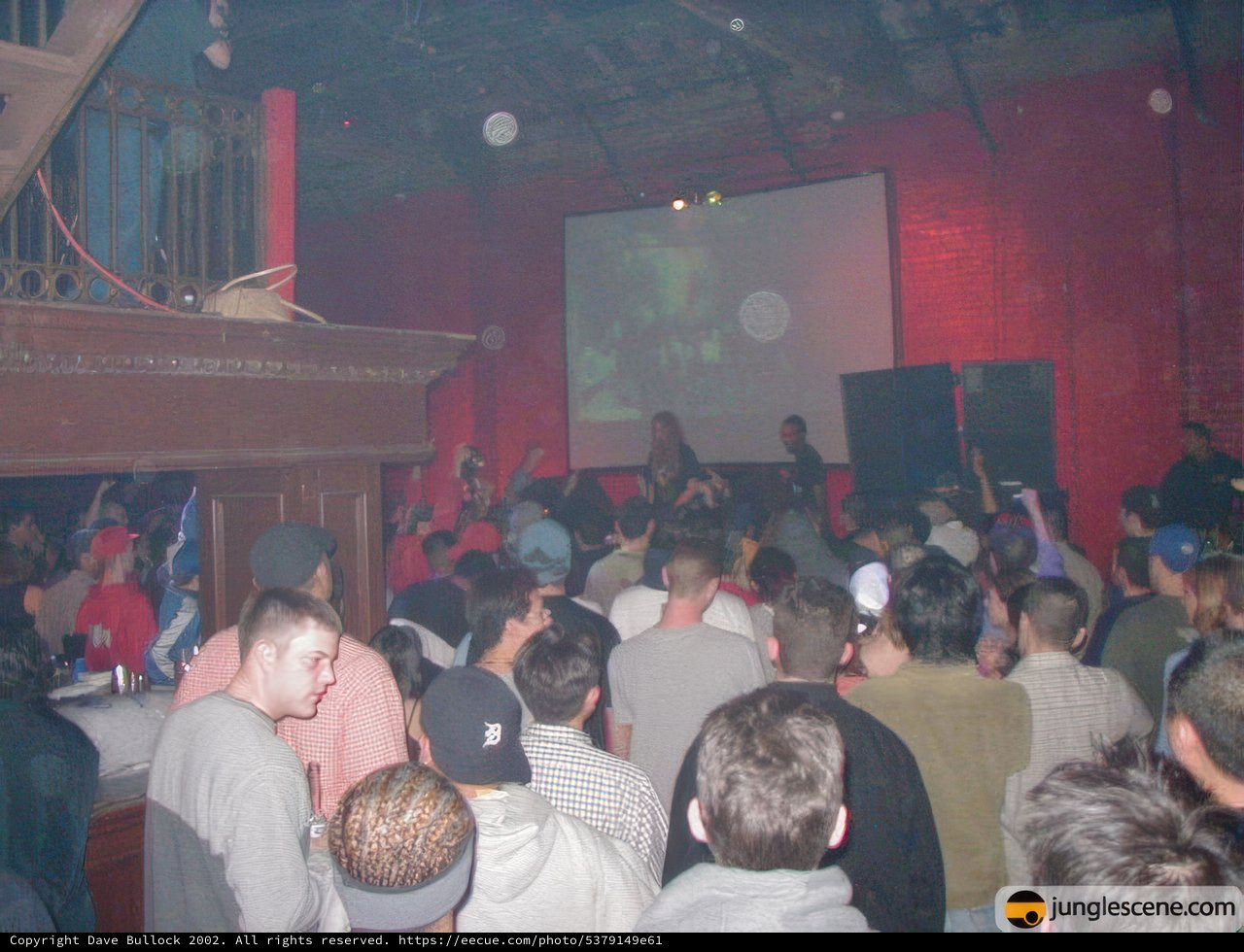 Nightclub Crowd