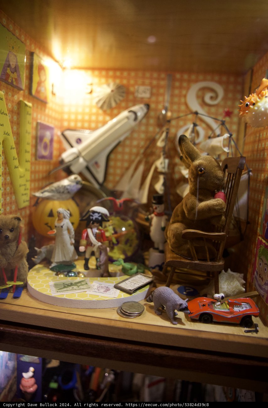 A Whimsical World of Wonders