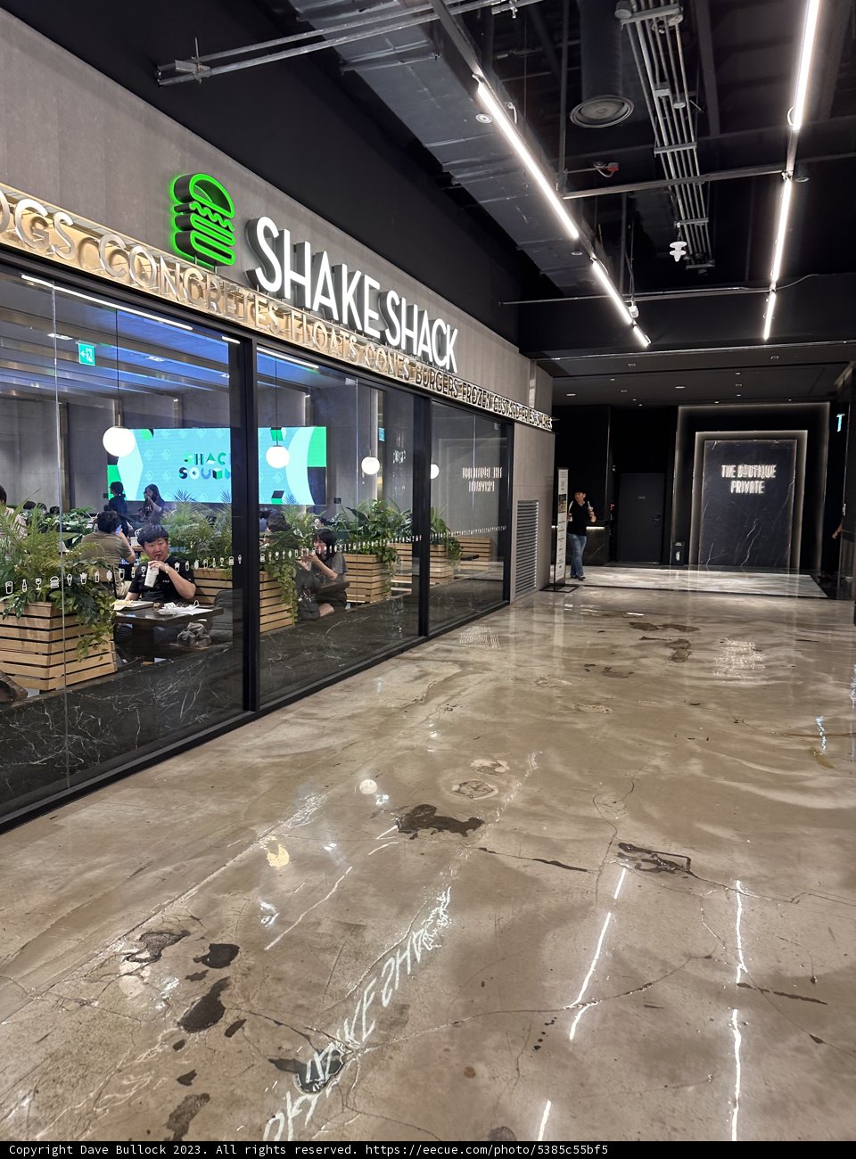 Grand Reopening: Shakespeare & Co. in Seoul