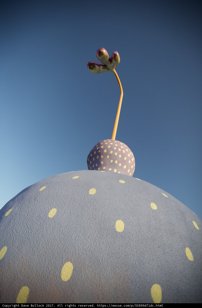 Polka-Dotted Dome Blossom