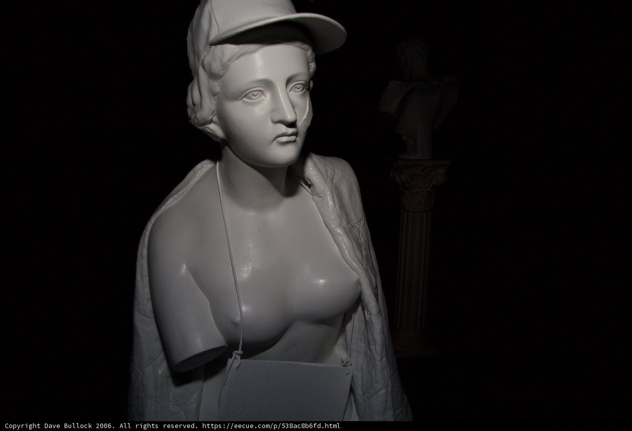 A Dignified Statue in a Hat