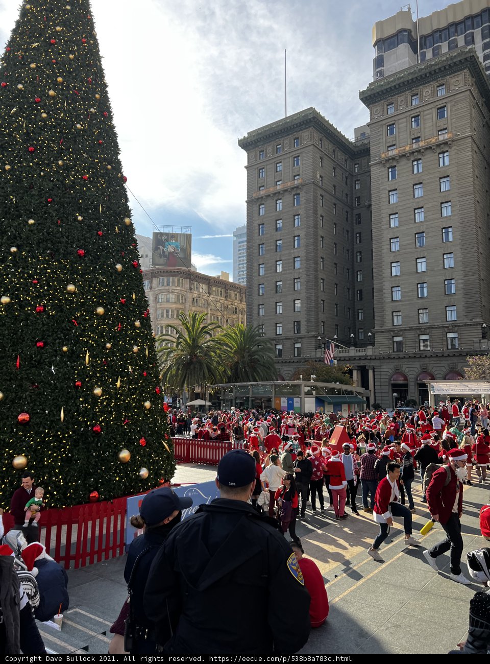 A Majestic Christmas Tree in the Heart of Union Square