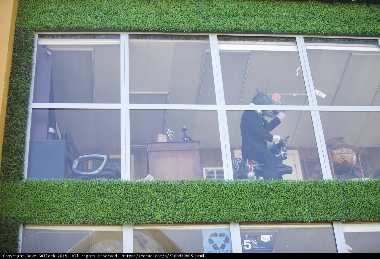 The Man in the Window