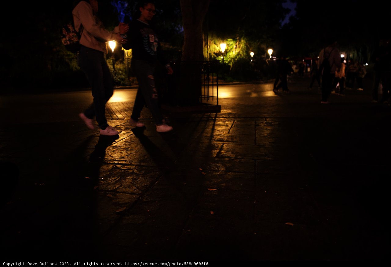 Enchanting Night Stroll in Disneyland
