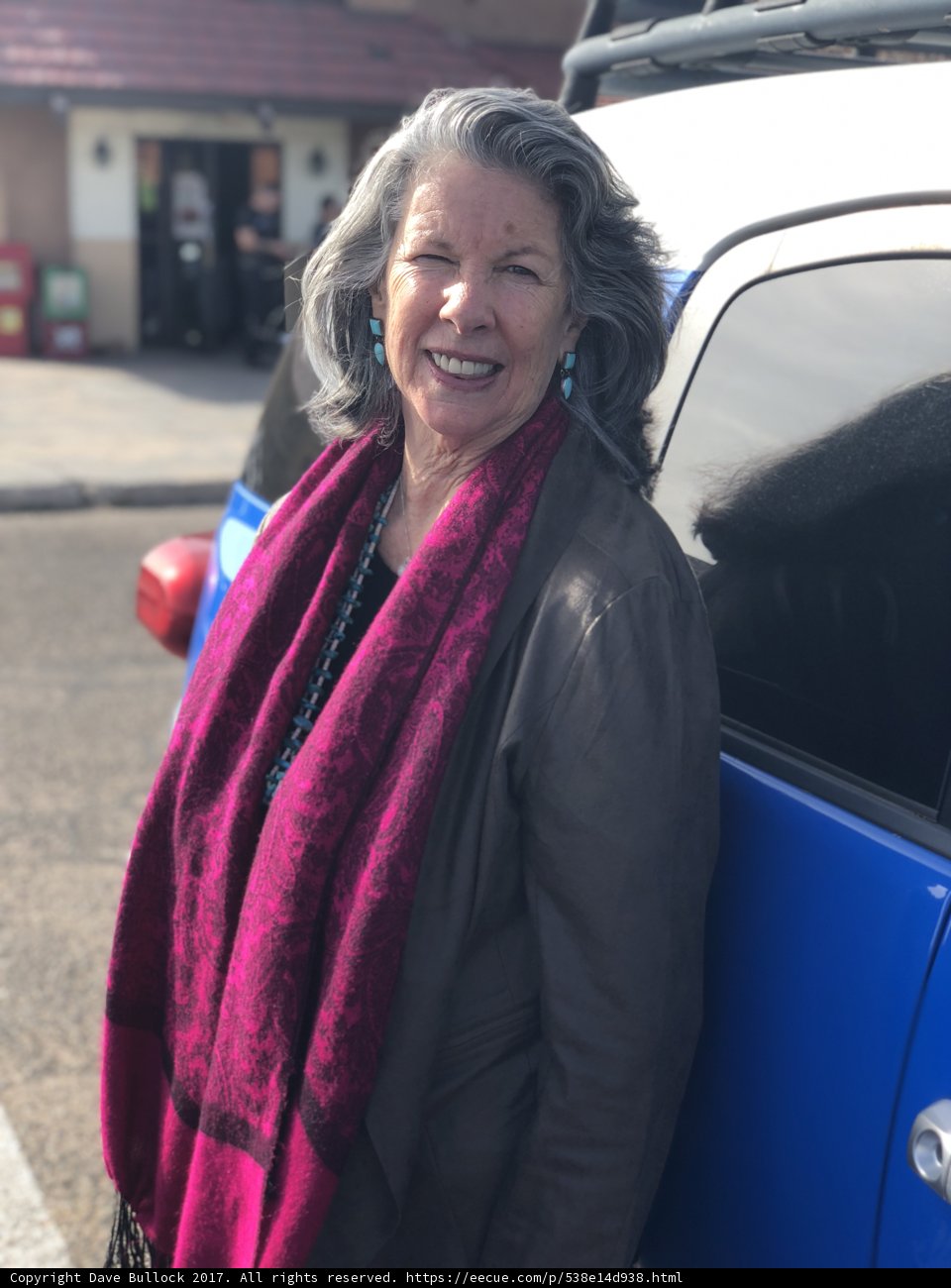 The Lady and Her Blue Van