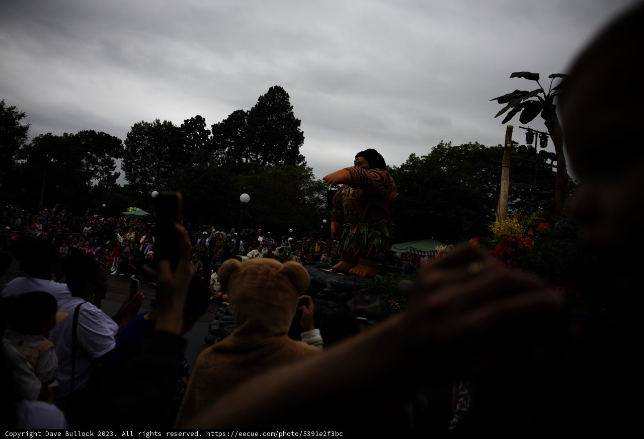 A Magical Parade Experience at Disneyland