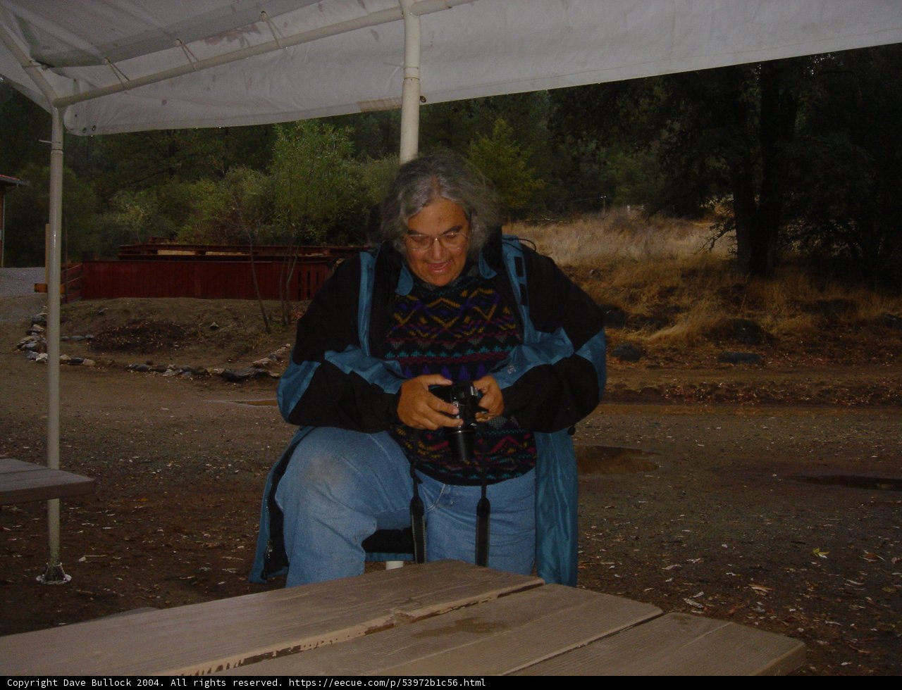 The Woman on the Plywood Bench