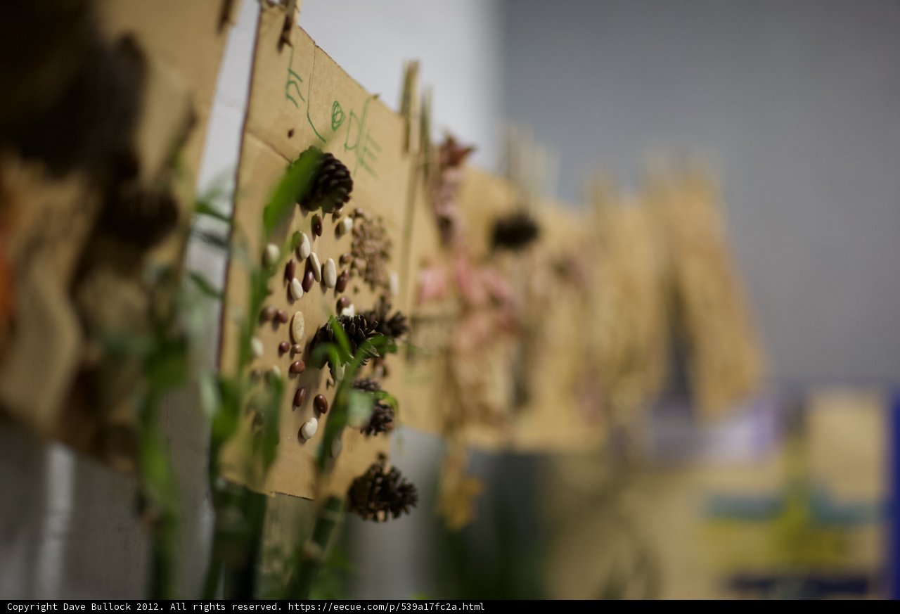 Hanging Gardens of Paper