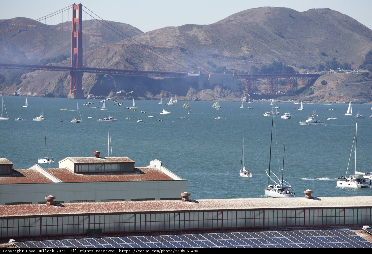 Fleet Week Spectacle at San Francisco Bay