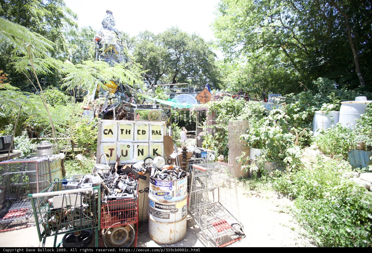 The Overgrown Junk Garden