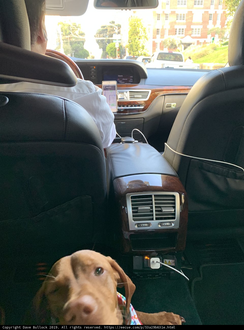 Four-Legged Co-Pilot