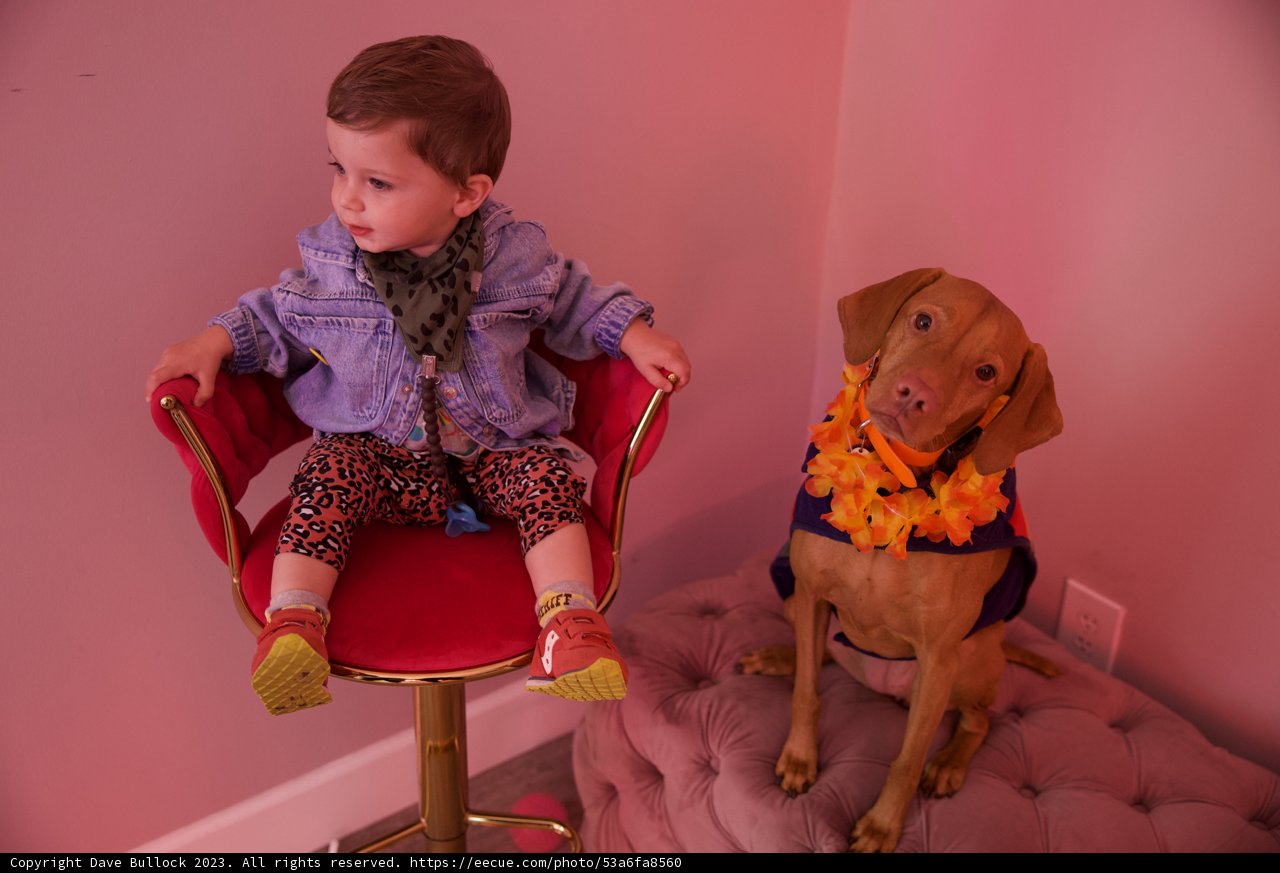 Toddler's Best Friend