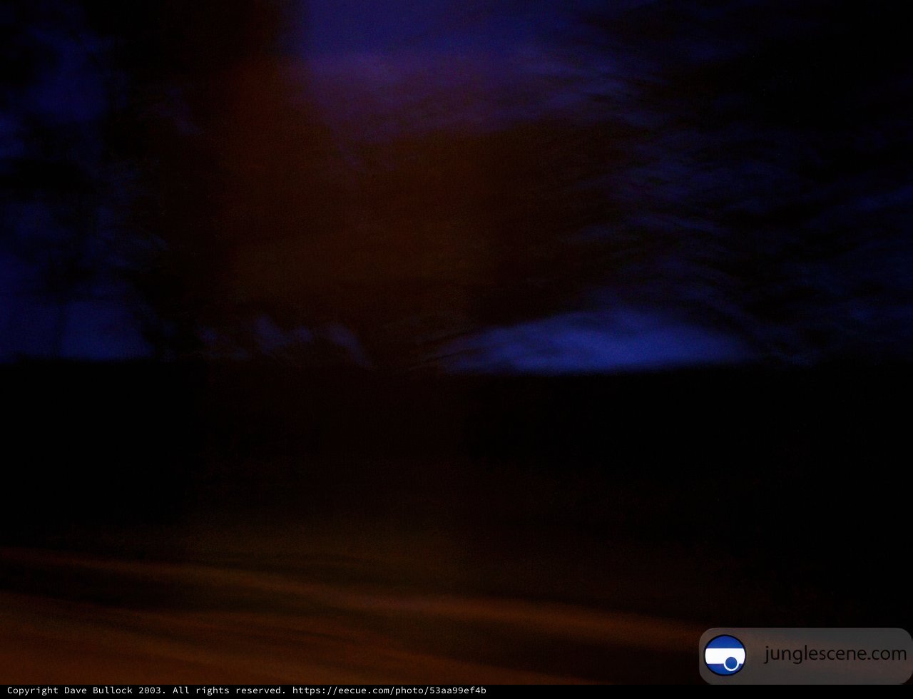 Blaze in the Night Sky