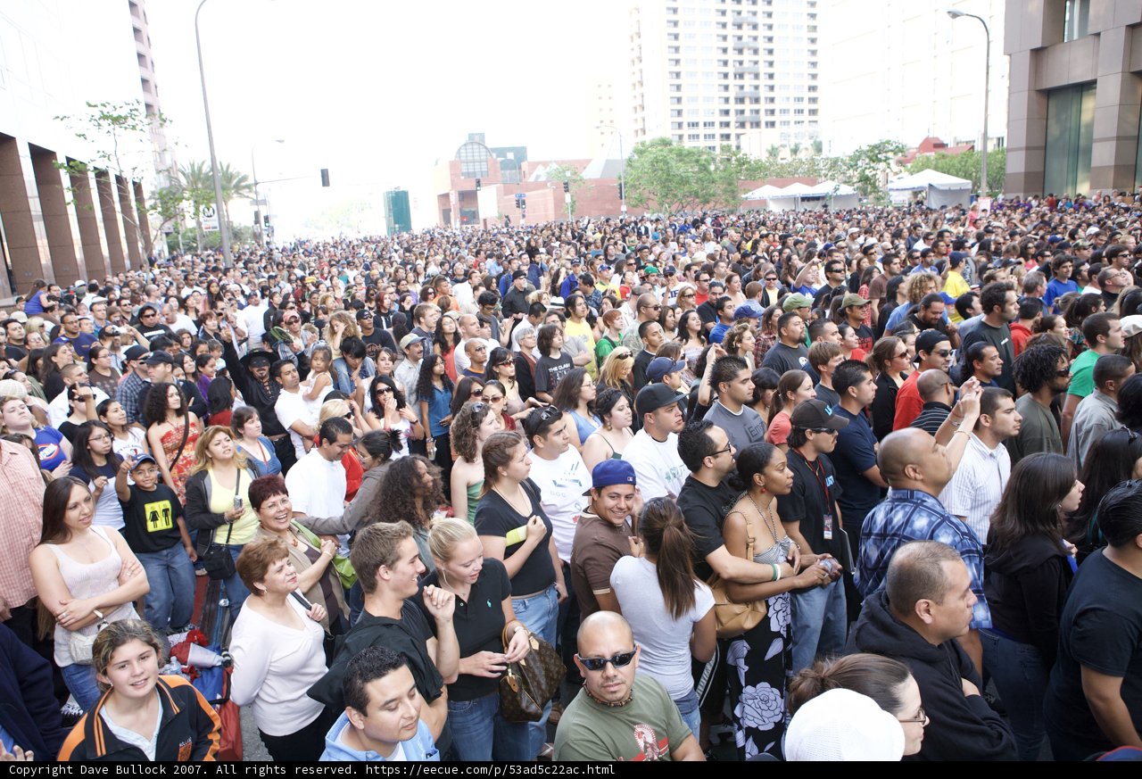 Grand Performance in the Urban Jungle