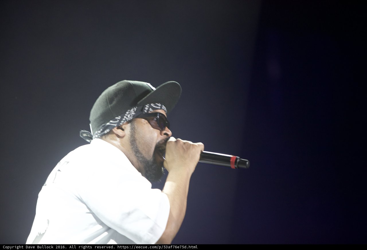 Hat and Shades: The Performer
