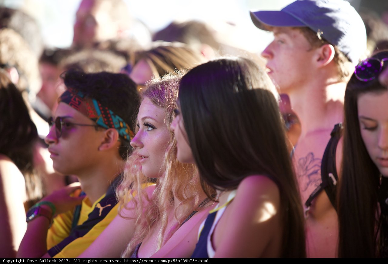 Festival Frenzy