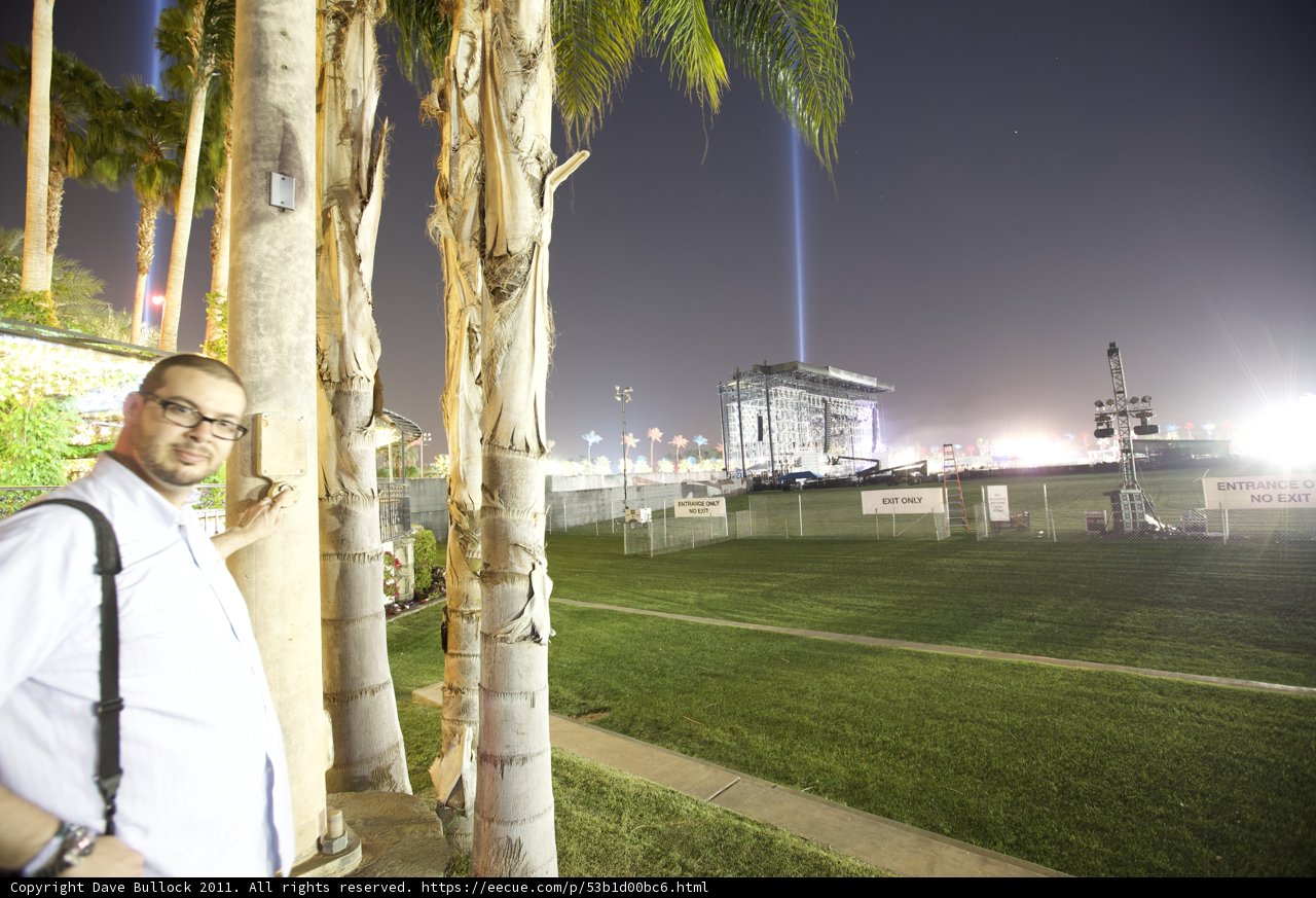 Nighttime Oasis
