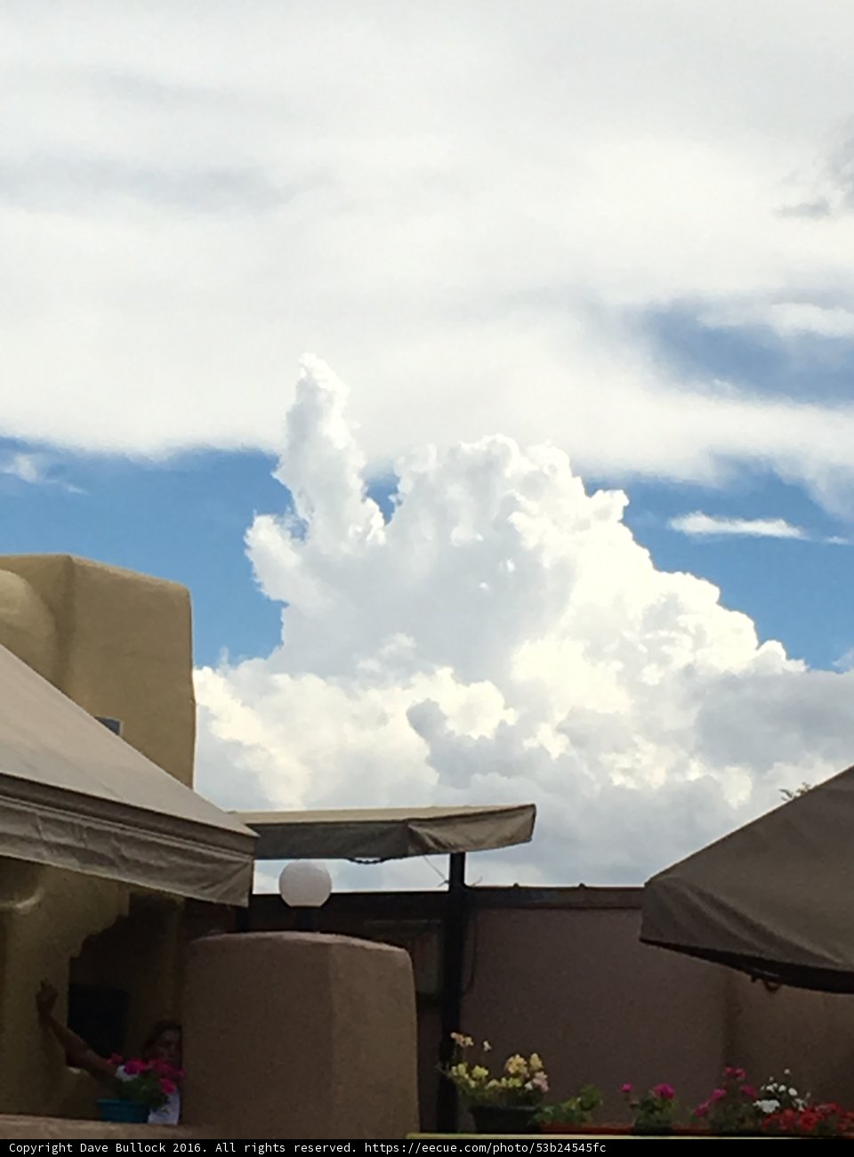 Sky Shelter