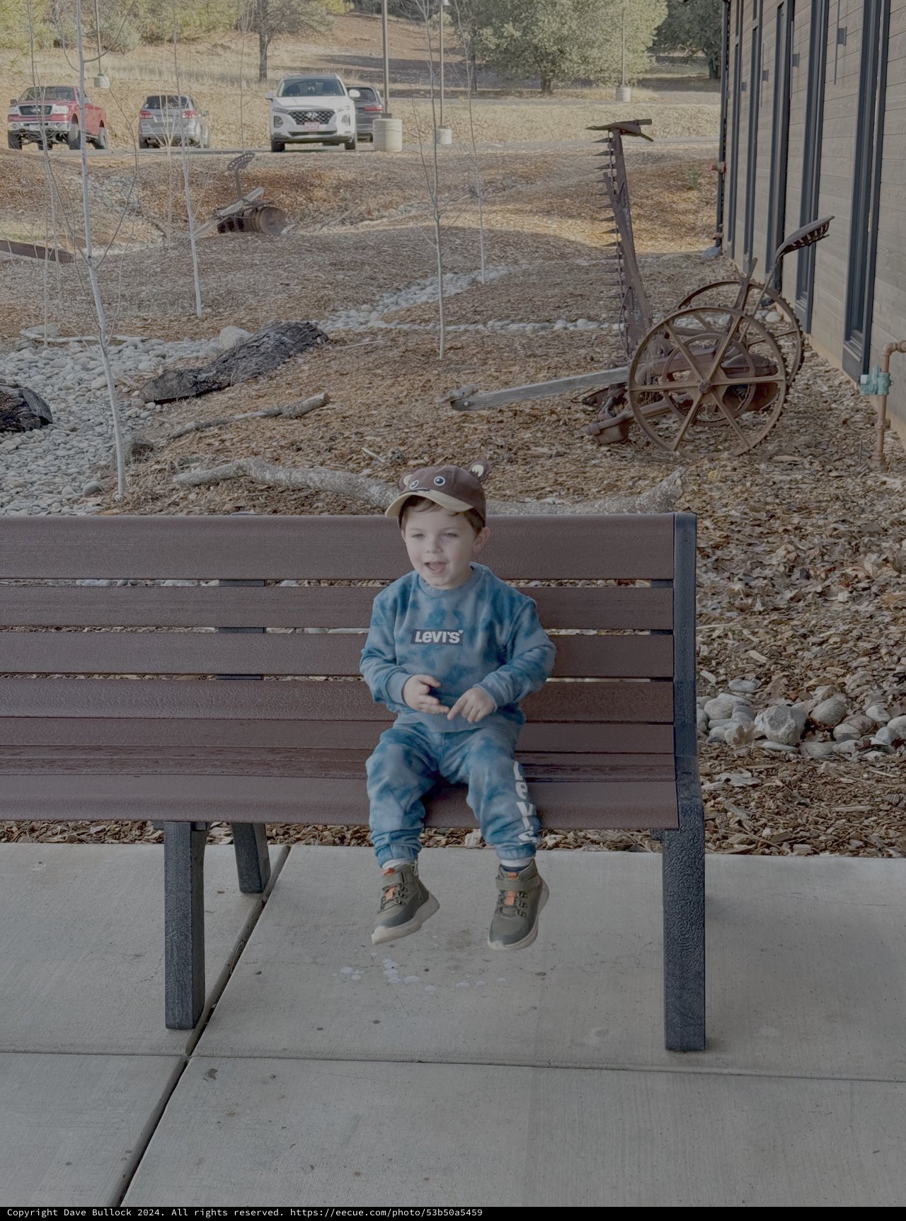 Young Boy Sitting on Bench in Rural Setting