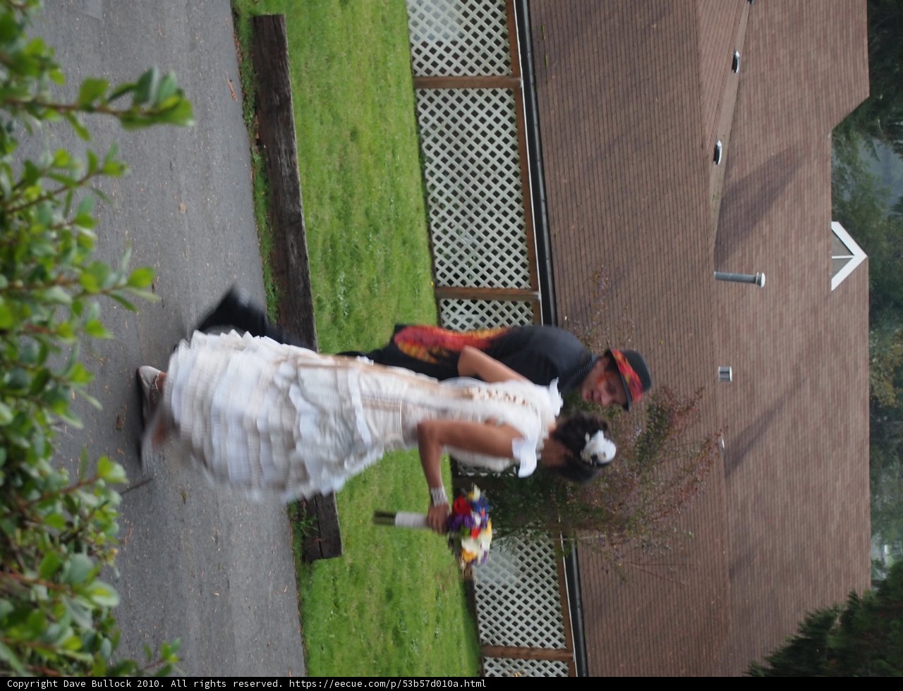 A Stroll Down the Wedding Lane