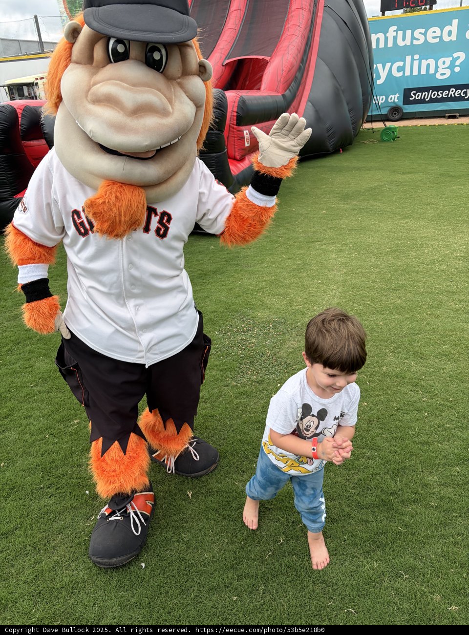 Field Day Fun