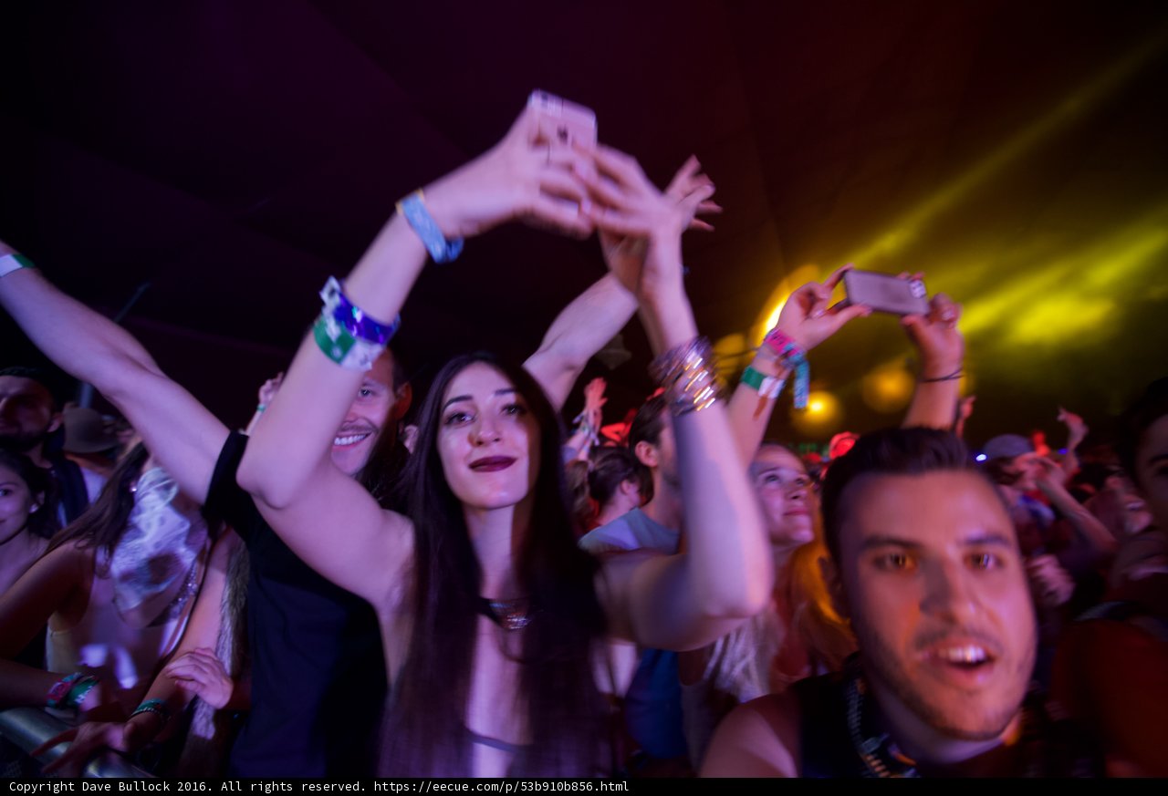 Hands in the Air at Coachella Music Festival