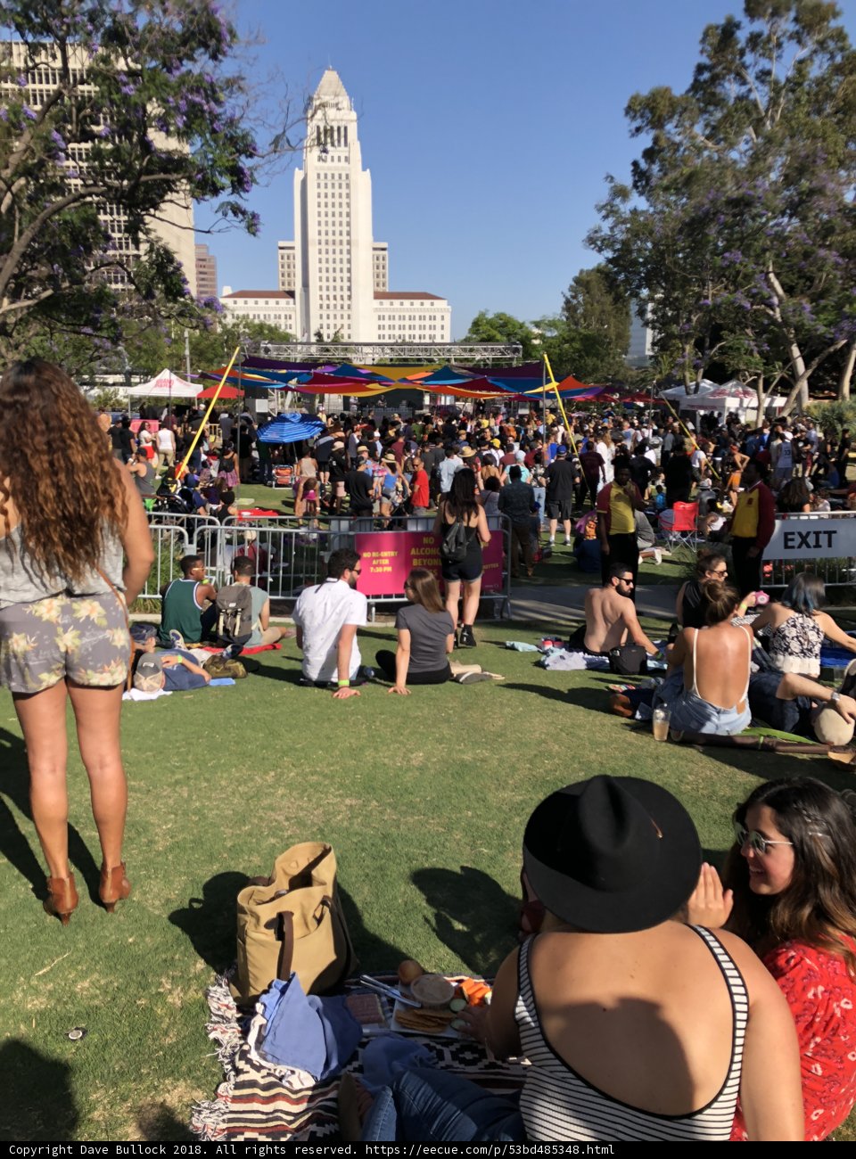 A Park Gathering