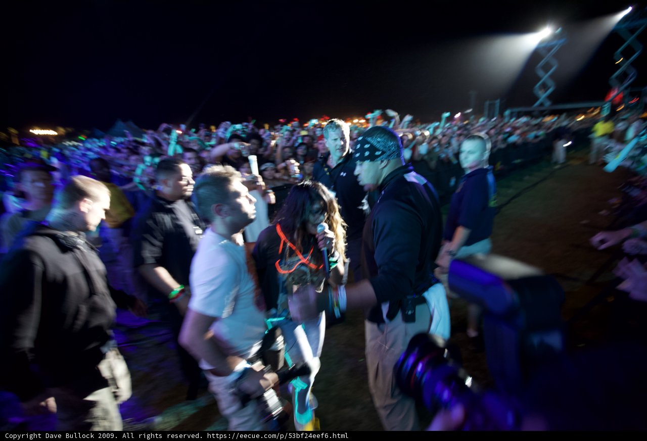 Concert Fever: A Man and His Crowd