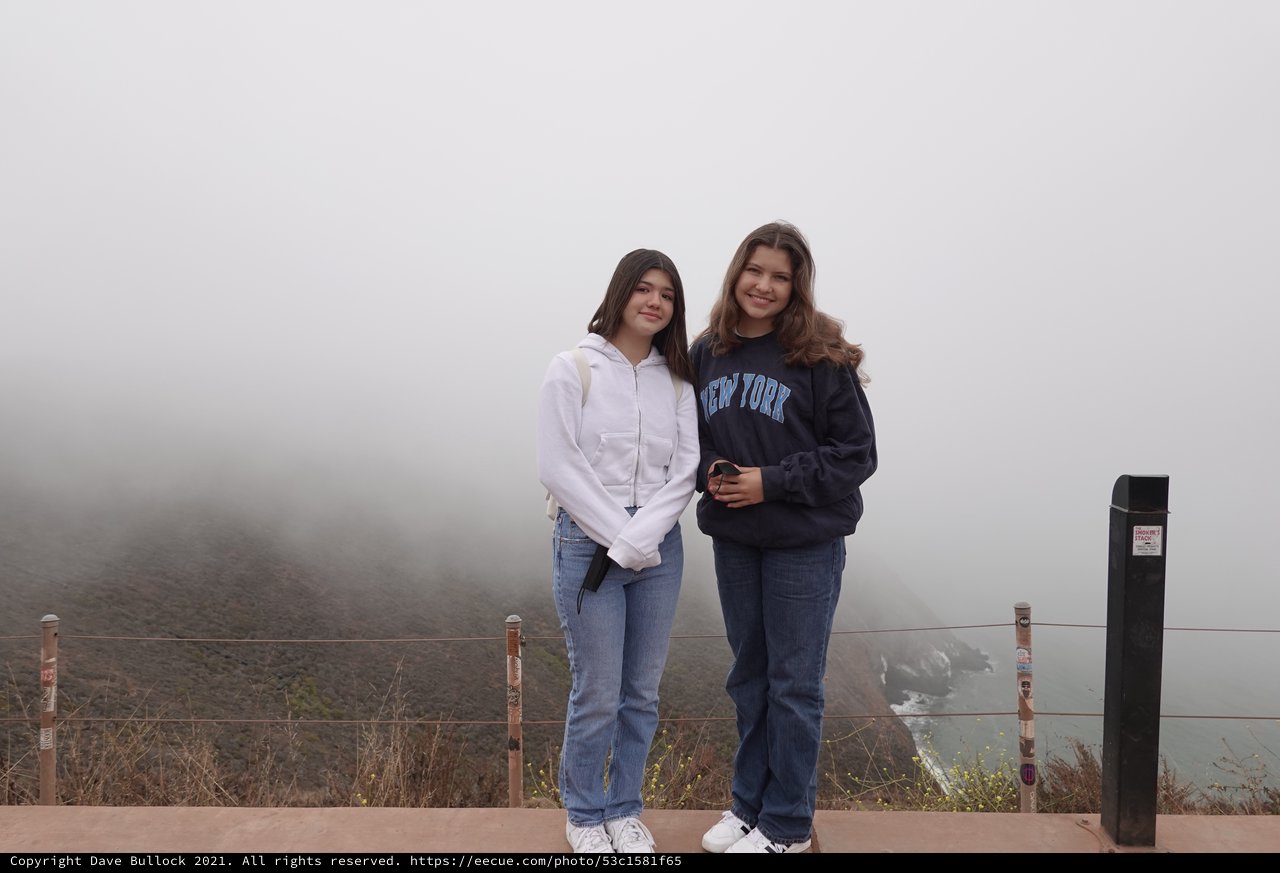Two Friends in Foggy Coastal Overlook