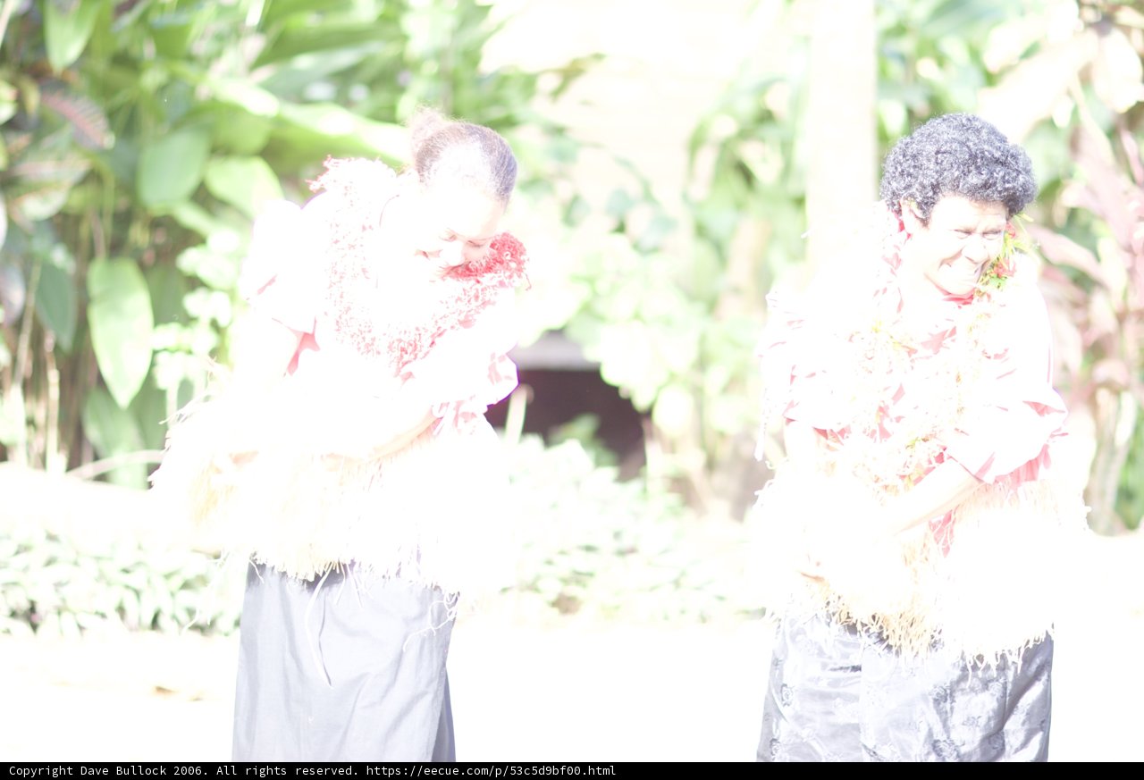 Traditional Dance in Fiji