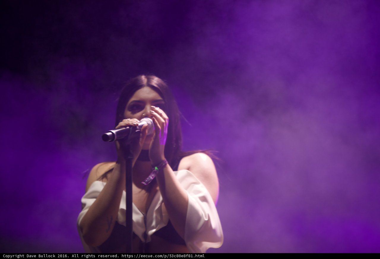 Purple Haze Performance