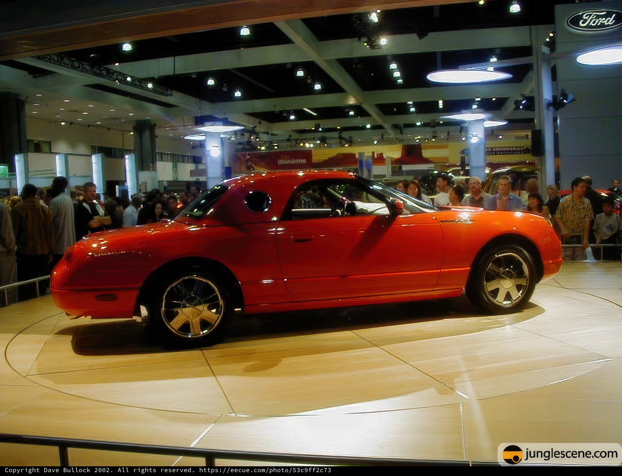 Red Sports Car Steals the Show