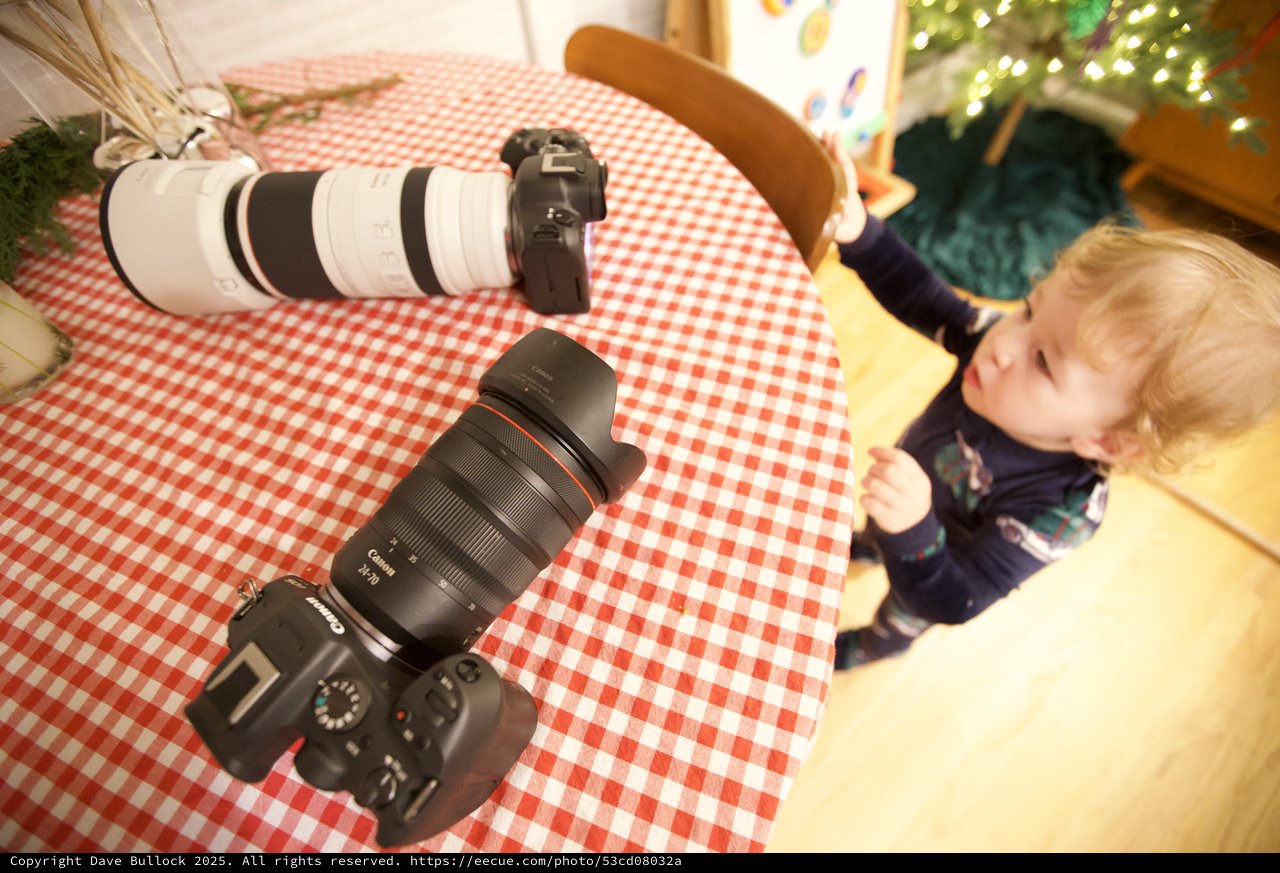 Professional Camera Gear Display with Curious Toddler Observer
