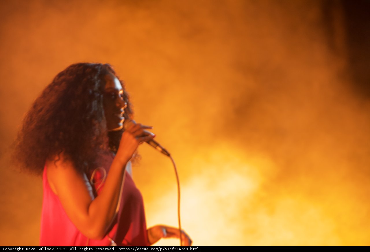 Solange Profile Singing Hair Cascading Golden Orange