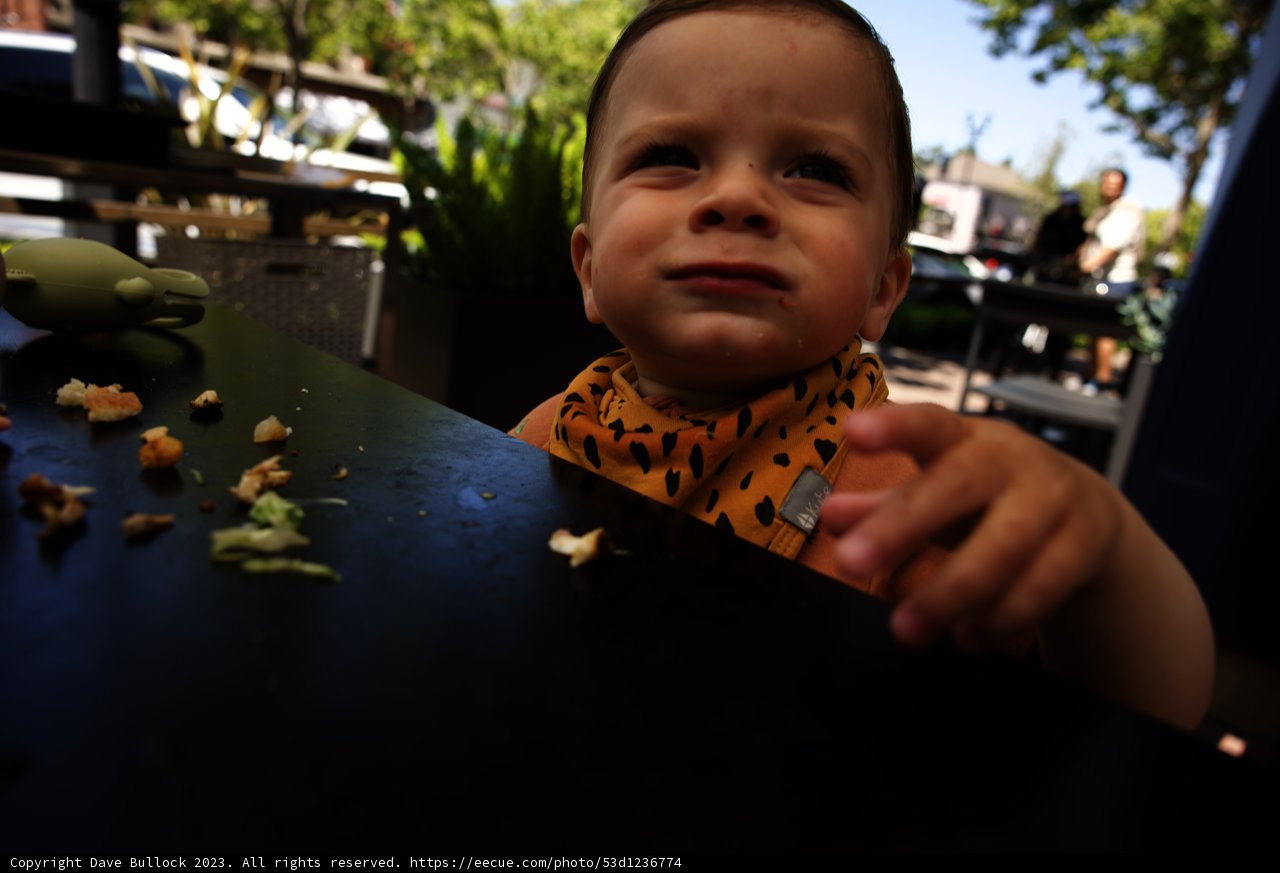 Wesley's Exciting Lunch Adventure