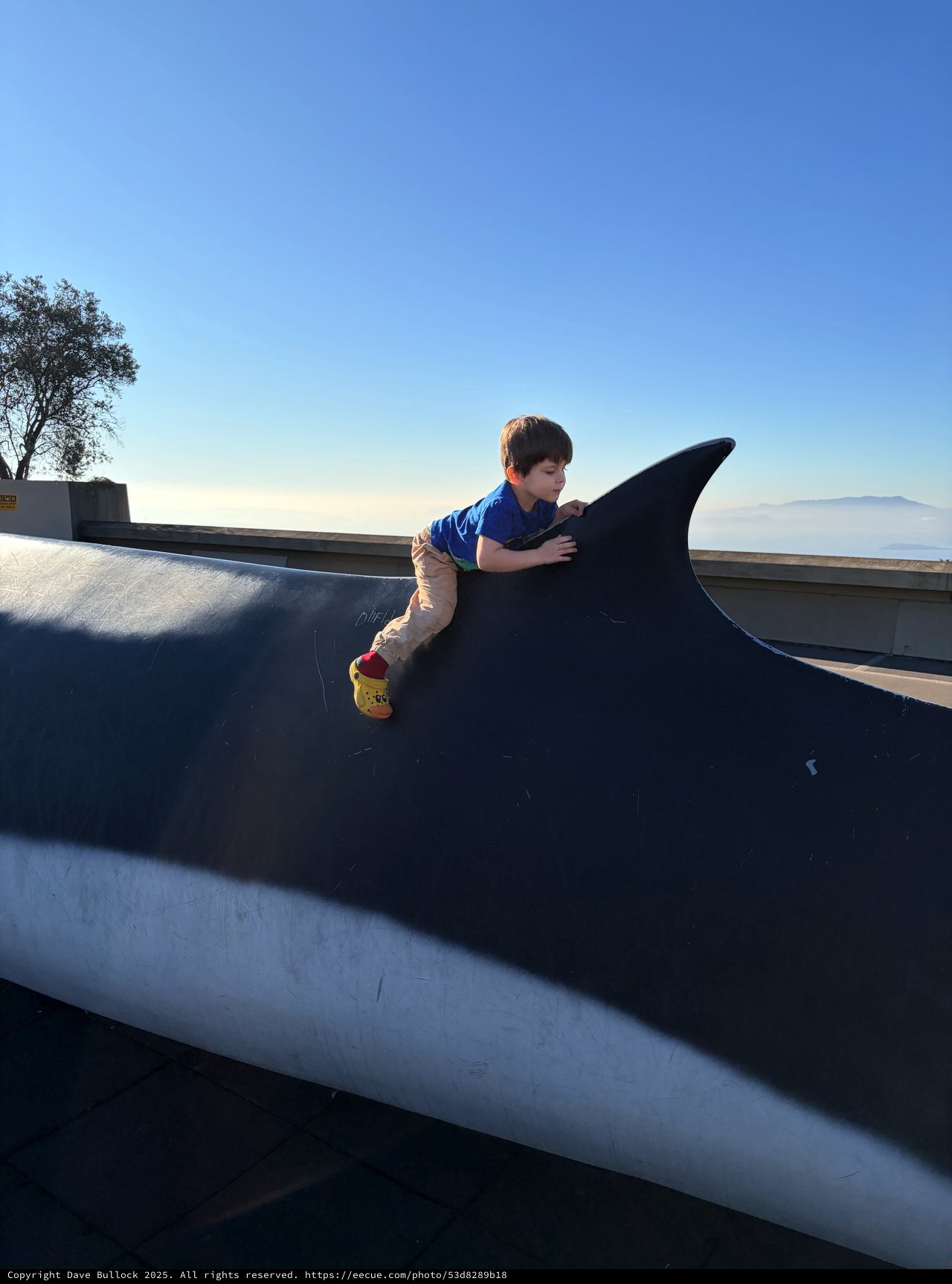 Child Playing on Whale Sculpture at Scenic Overlook